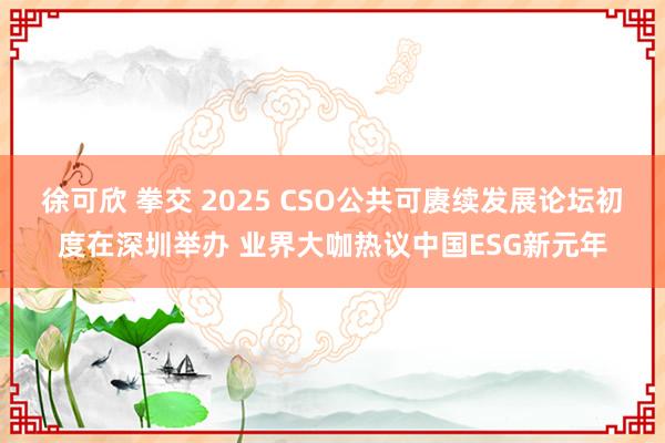 徐可欣 拳交 2025 CSO公共可赓续发展论坛初度在深圳举办 业界大咖热议中国ESG新元年