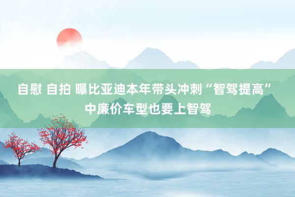 自慰 自拍 曝比亚迪本年带头冲刺“智驾提高” 中廉价车型也要上智驾